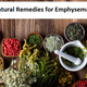 Illustration for article titled Natural Remedies for Emphysema Improve the Symptoms